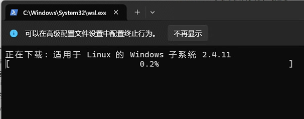 image-20250304114702253